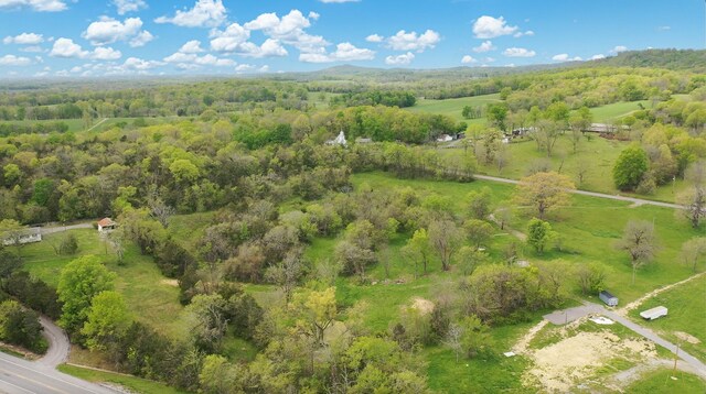 320 Mount Olivet Rd, Wartrace, TN 37183 - photo 10