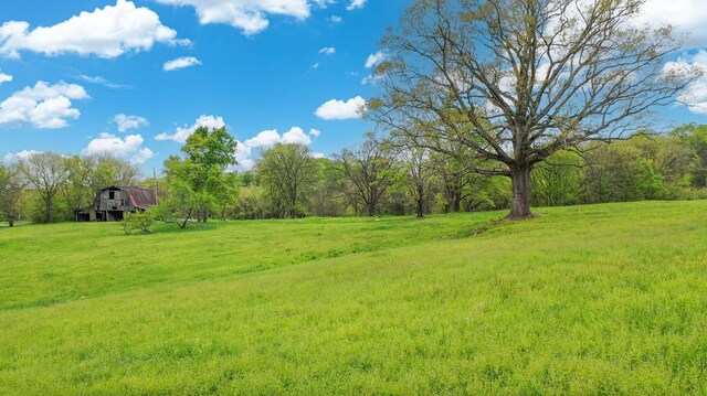320 Mount Olivet Rd, Wartrace, TN 37183 - photo 38