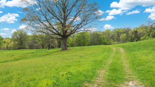 320 Mount Olivet Rd, Wartrace, TN 37183 - photo 39