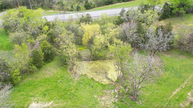 320 Mount Olivet Rd, Wartrace, TN 37183 - photo 31
