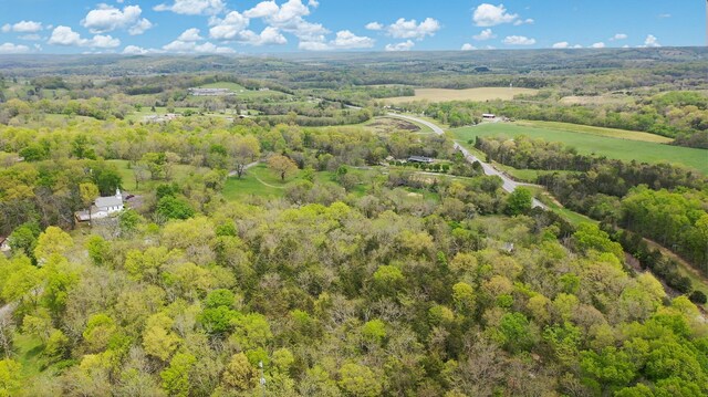 320 Mount Olivet Rd, Wartrace, TN 37183 - photo 19