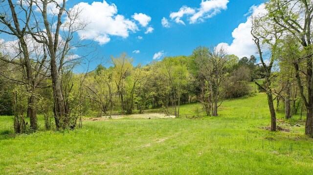 320 Mount Olivet Rd, Wartrace, TN 37183 - photo 35