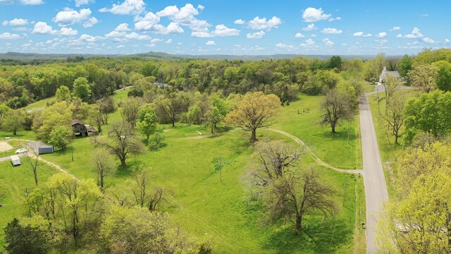 320 Mount Olivet Rd, Wartrace, TN 37183 - photo 29