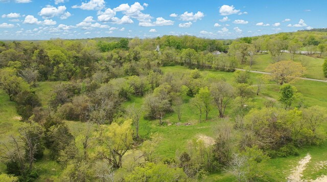 320 Mount Olivet Rd, Wartrace, TN 37183 - photo 30