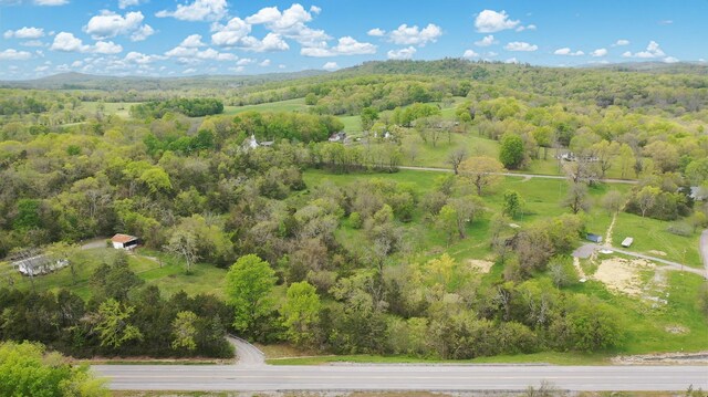 320 Mount Olivet Rd, Wartrace, TN 37183 - photo 11