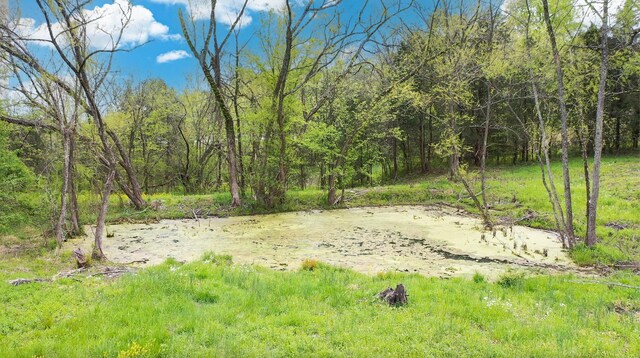 320 Mount Olivet Rd, Wartrace, TN 37183 - photo 33