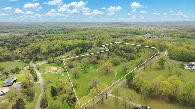 320 Mount Olivet Rd, Wartrace, TN 37183 - photo 43