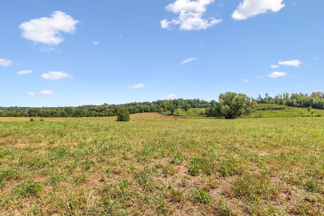 341 Anthony Adcock Rd, Sparta, TN 38583 - photo 4