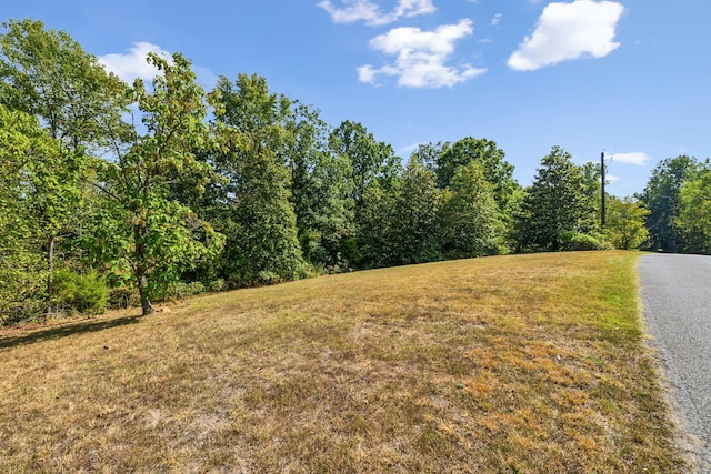 Listing photo 2 for 0 Gibbs Rd, Ashland City TN 37015