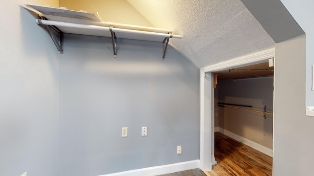 walk in closet featuring wood finished floors