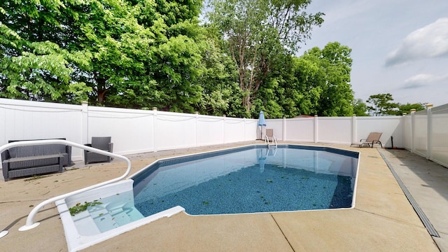view of pool with a patio area, a fenced backyard, and a fenced in pool