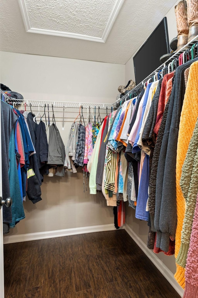 walk in closet featuring dark wood-style flooring