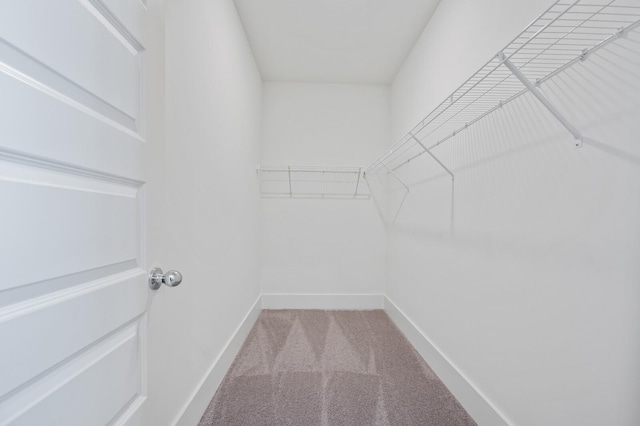 spacious closet with carpet floors