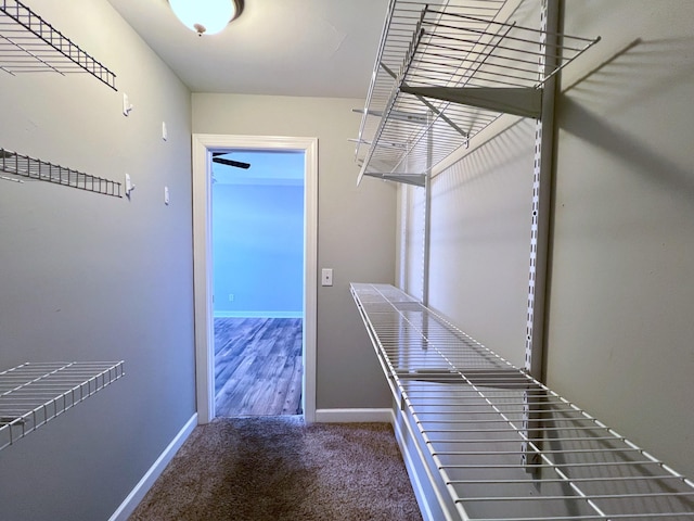 spacious closet with carpet floors