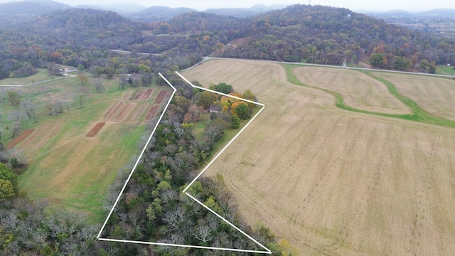 145 Crenshaw Rd, Bethpage TN, 37022 land for sale