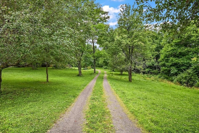 145 Crenshaw Rd, Bethpage, TN 37022