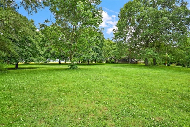 145 Crenshaw Rd, Bethpage, TN 37022