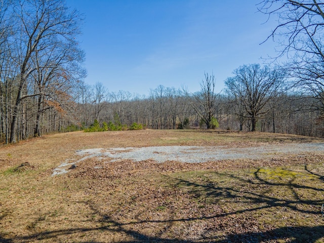 view of yard featuring a view of trees