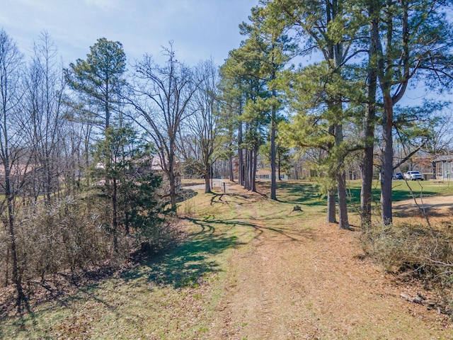 view of road featuring driveway