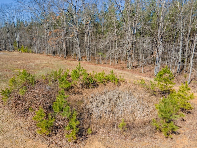 view of local wilderness featuring a forest view