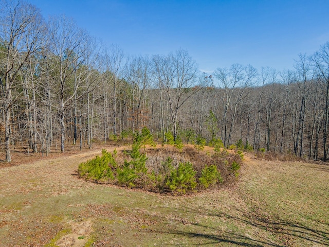 view of yard featuring a view of trees