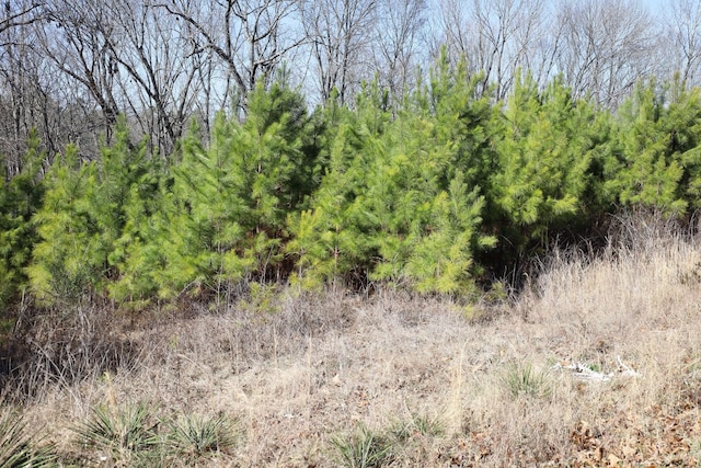 1335 Bumpus Mills Rd, Dover, TN 37058 - view of nature featuring a wooded view