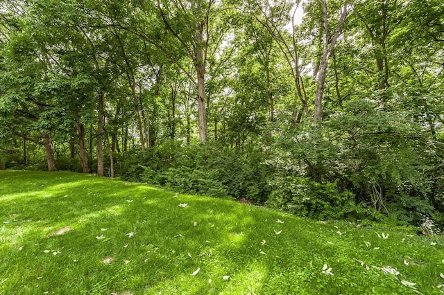 view of yard with a wooded view