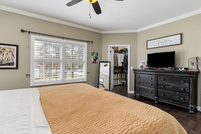 bedroom featuring ceiling fan, dark wood-type flooring, ornamental molding, a closet, and a walk in closet