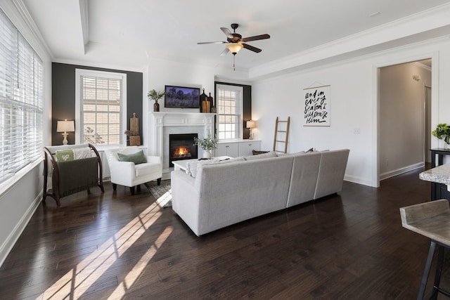 living room featuring a warm lit fireplace, a tray ceiling, dark wood finished floors, and baseboards