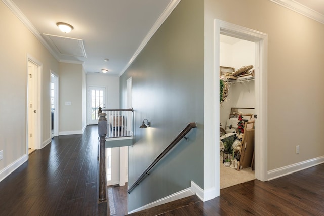 hallway featuring crown molding, dark wood-type flooring, an upstairs landing, and attic access