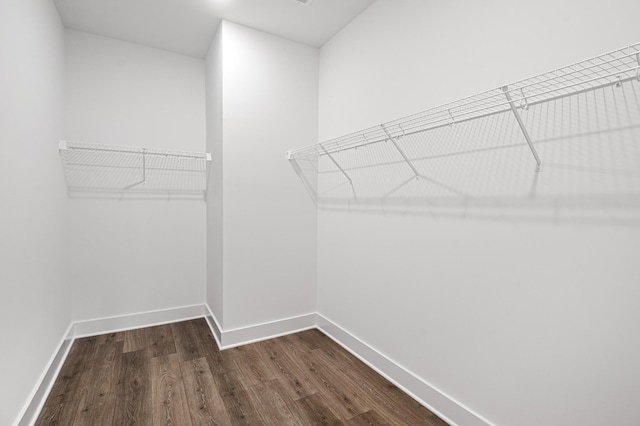 spacious closet with dark wood finished floors