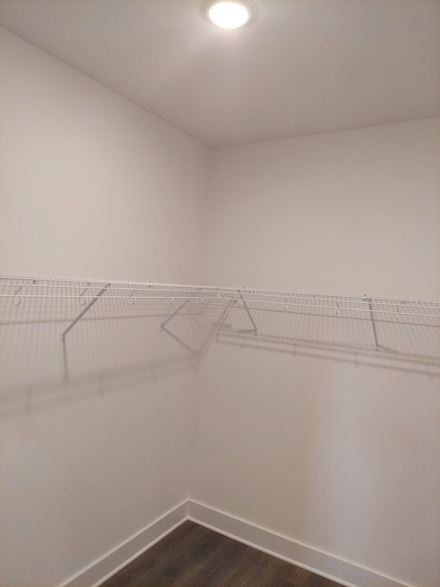 spacious closet featuring dark wood-style flooring