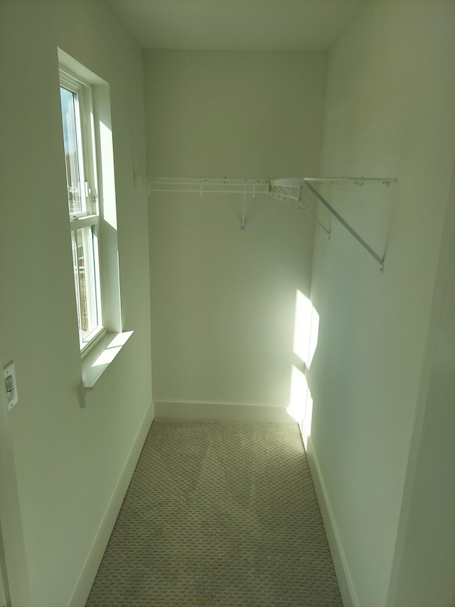 spacious closet featuring light colored carpet