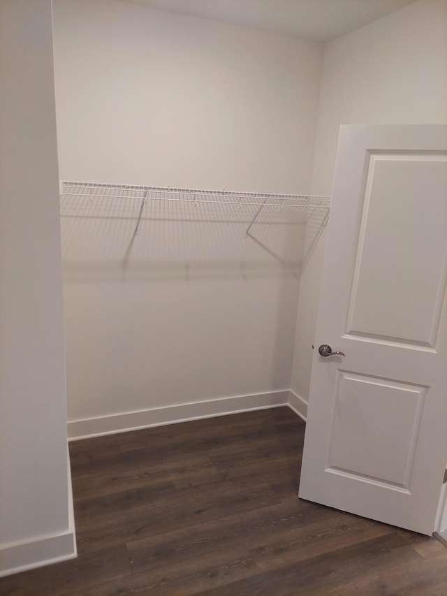 spacious closet with dark wood-style floors