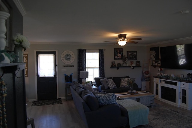 living area with ceiling fan, crown molding, and wood finished floors