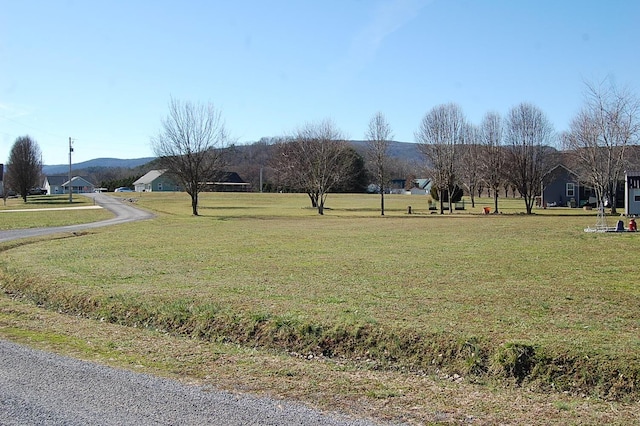 view of community featuring a lawn