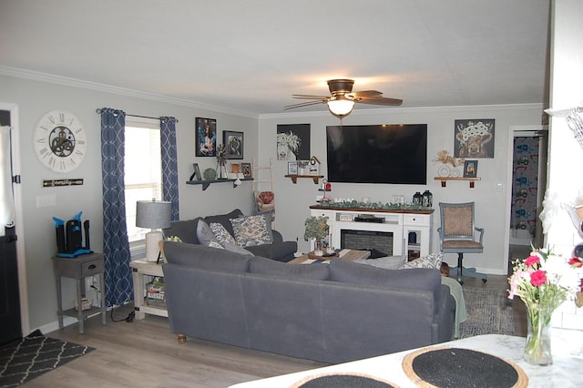 living room featuring a fireplace, ornamental molding, ceiling fan, wood finished floors, and baseboards