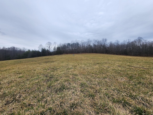 0 Bud Tanner Rd, Crossville TN, 38571 land for sale