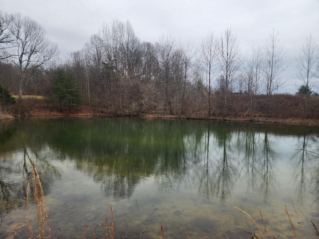 Listing photo 2 for 0 Bud Tanner Rd, Crossville TN 38571