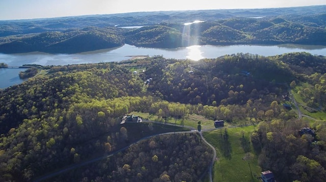 aerial view with a water view and a wooded view