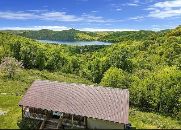 drone / aerial view with a water view and a view of trees