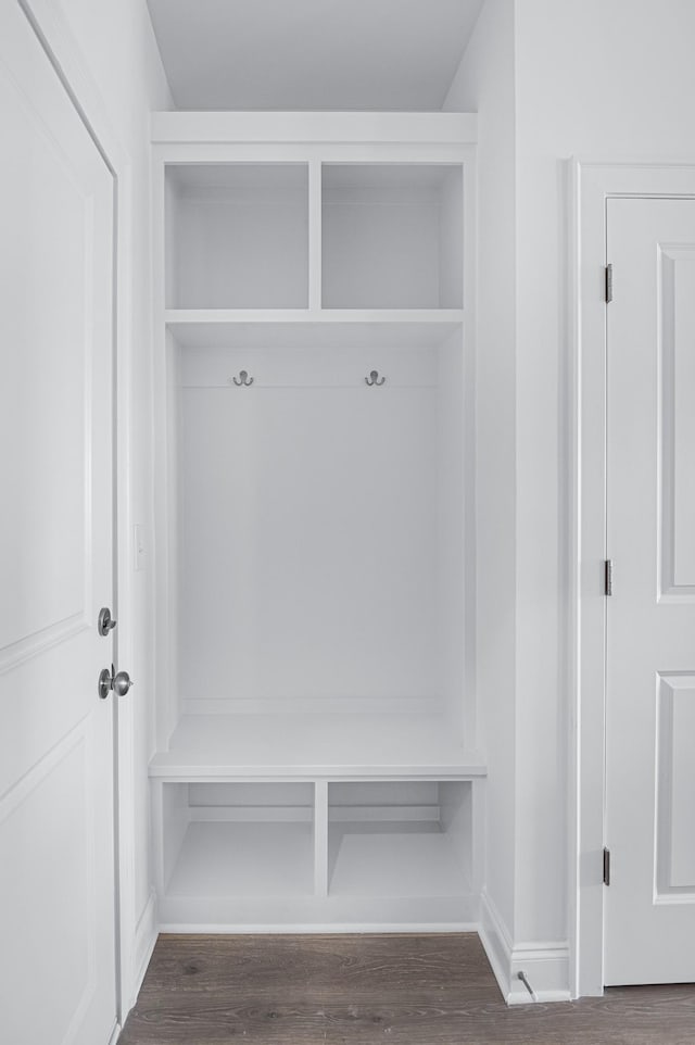 mudroom with dark wood-type flooring