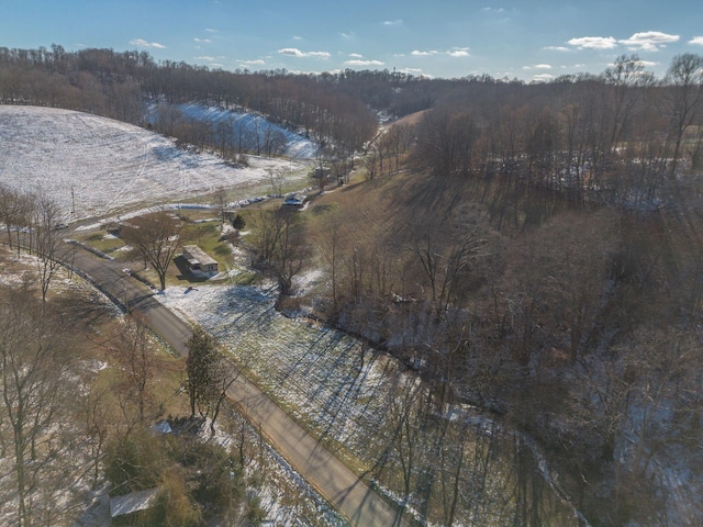 bird's eye view featuring a forest view