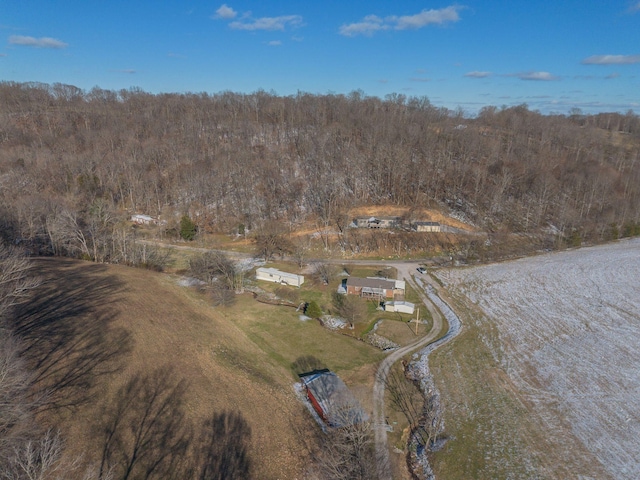 bird's eye view with a view of trees