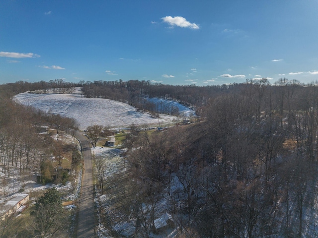 water view with a view of trees