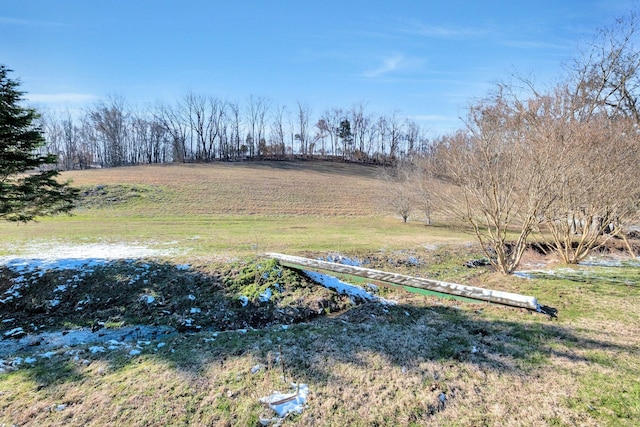 view of yard with a rural view