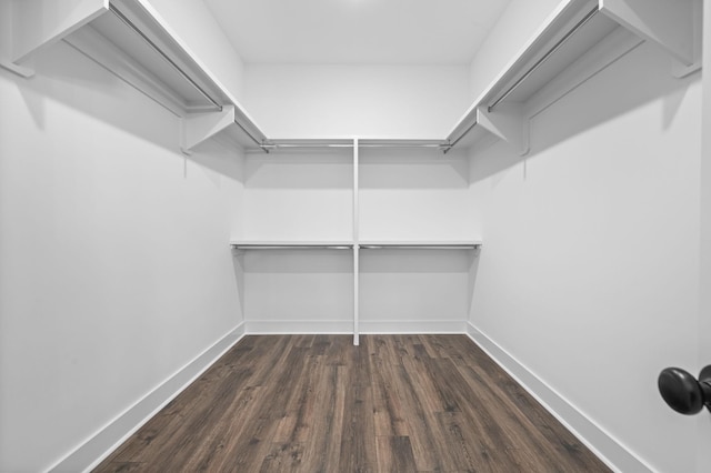 spacious closet with dark wood-style floors