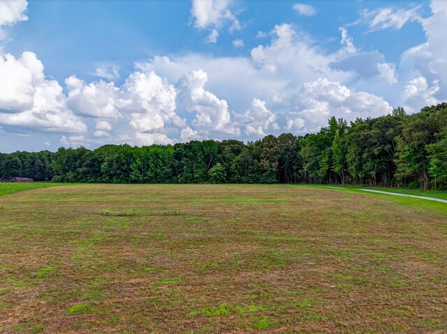 0 Hilldale Church Rd, Fayetteville, TN 37334 - photo 10