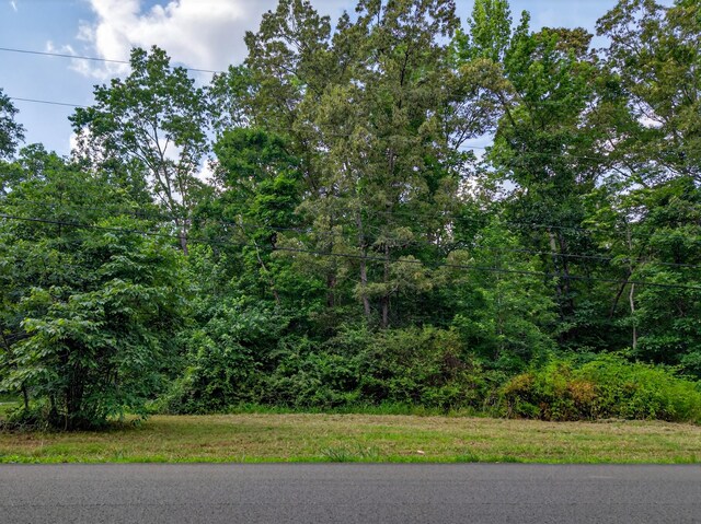 0 Hilldale Church Rd, Fayetteville, TN 37334 - photo 6