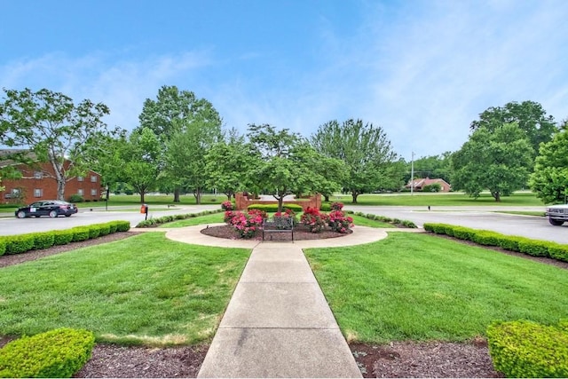 view of home's community with a lawn